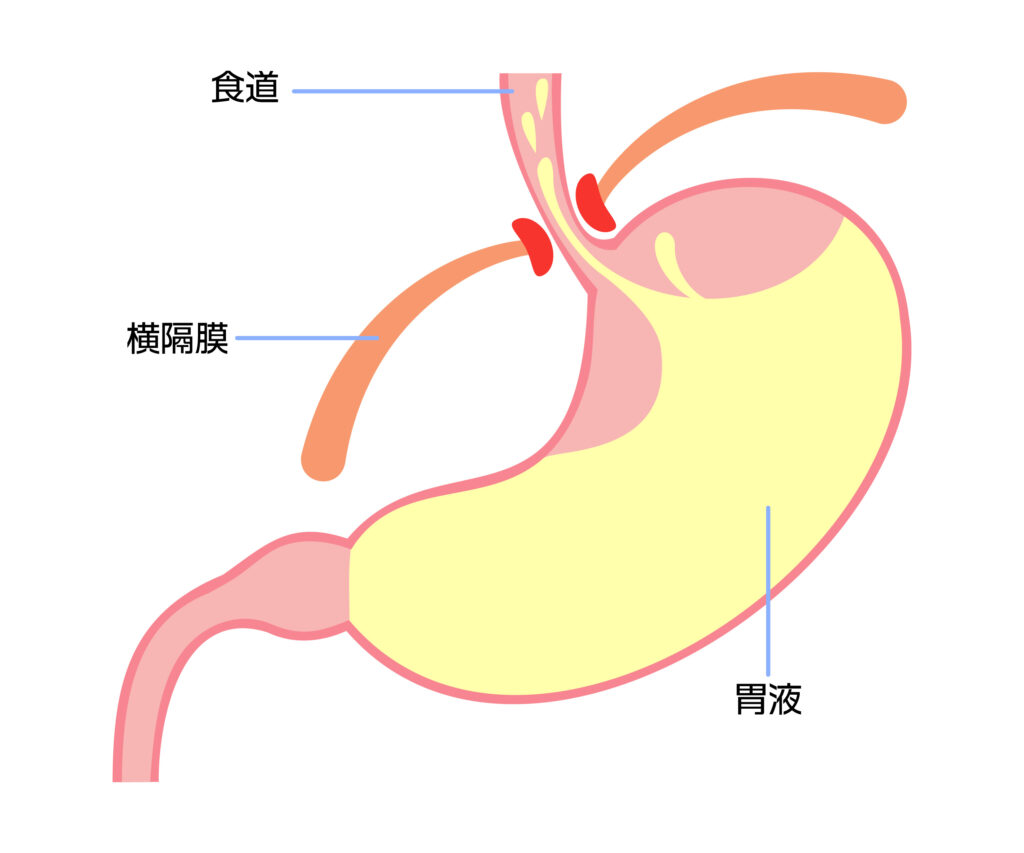 口 の 中 苦い